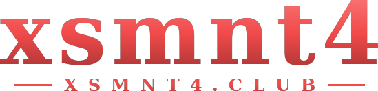 xsmnt4 logo